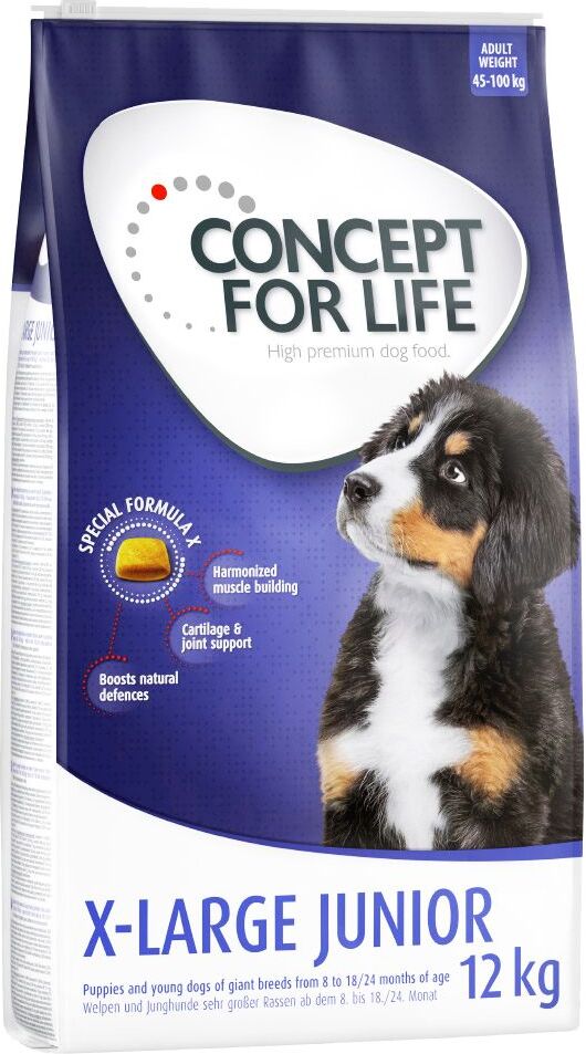 Concept for Life 4x 1,5kg X-Large Junior Concept for Life Trockenfutter für Hunde