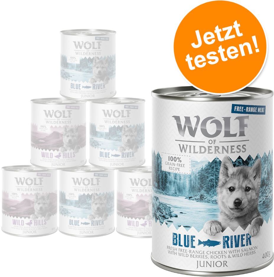 Wolf of Wilderness 6x 800g Junior Mix "Freiland-Fleisch" Wolf of Wilderness Hundefutter Nass