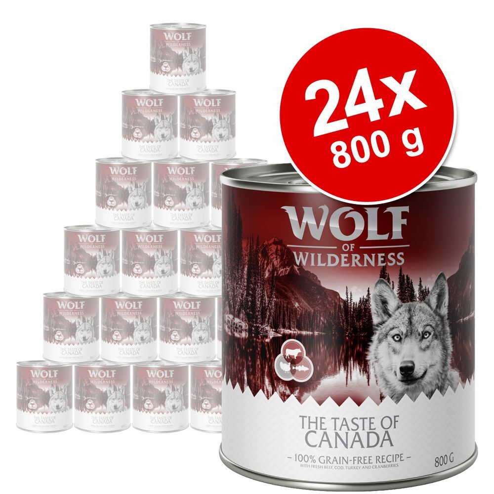 Wolf of Wilderness 24x 800g White Infinity - Pferd Wolf of Wilderness Nassfutter für Hunde