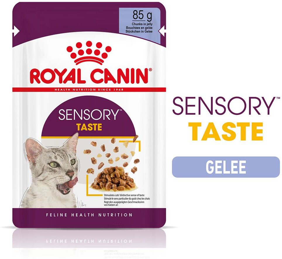 Royal Canin 12x 85g Sensory Taste in Gelee Royal Canin Katzenfutter Nass