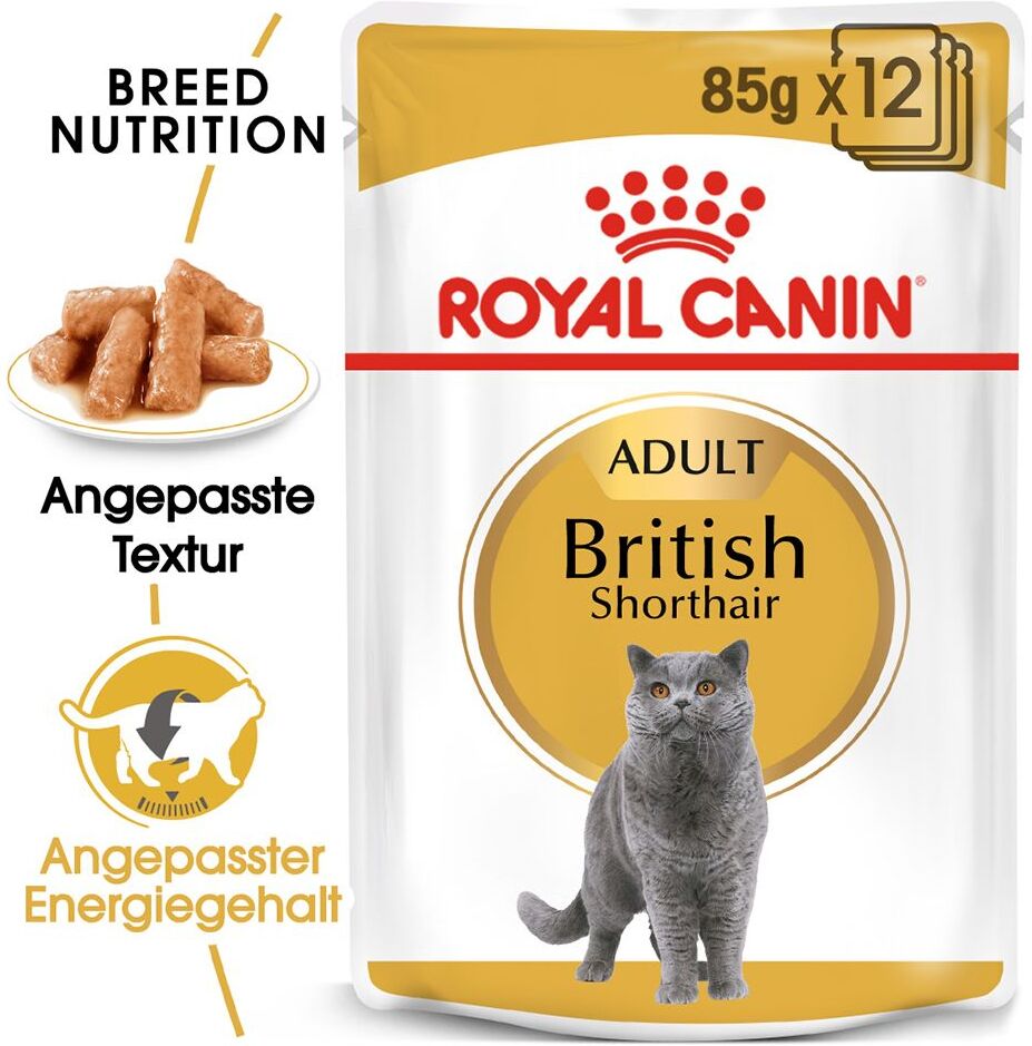 Royal Canin Breed 12x 85g British Shorthair Adult in Sosse Royal Canin Nassfutter für Katzen