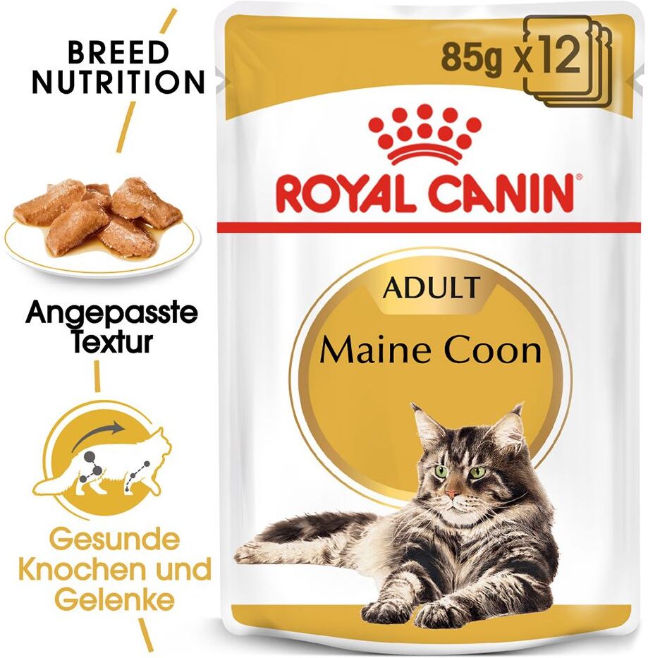 Royal Canin Breed 96x 85g 85g Maine Coon Adult in Sosse Royal Canin Nassfutter für Katzen