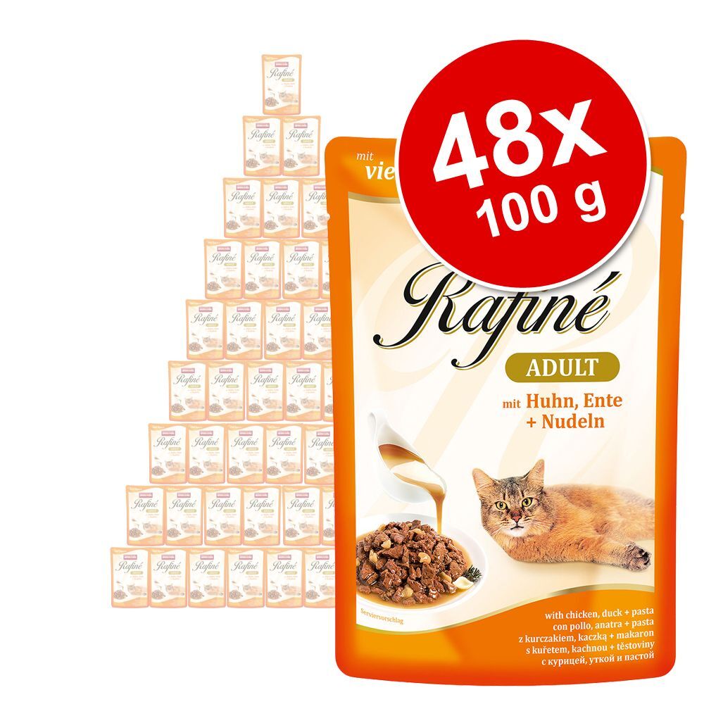 Animonda Rafiné 48x 100g Vielfalt in Gelee (4 Sorten) Animonda Rafiné Nassfutter für Katzen