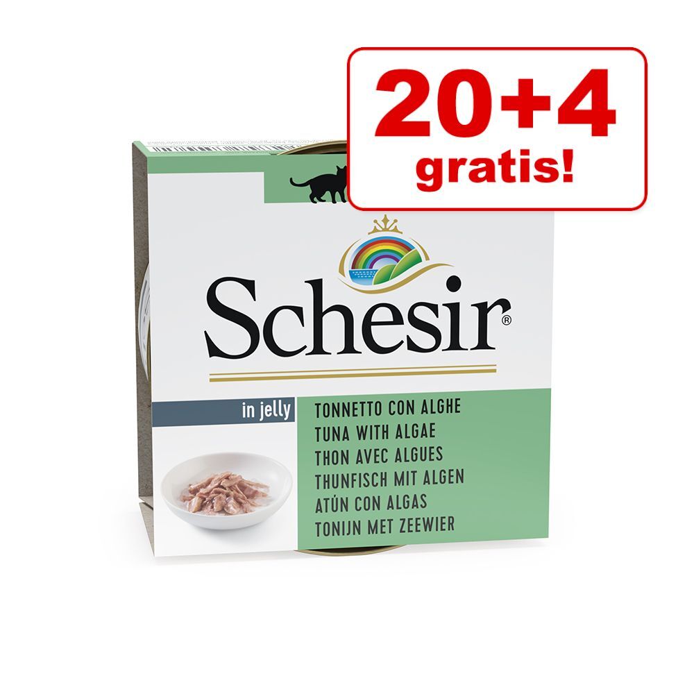 Schesir 24x 85g in Gelee Thunfisch mit Algen Schesir Nassfutter für Katzen, 20+4 gratis!