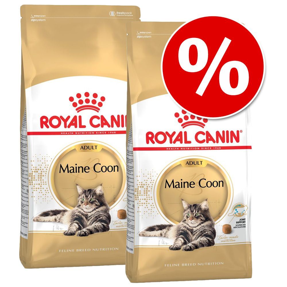 Royal Canin Breed 2x 10kg Maine Coon Kitten Royal Canin Breed Trockenfutter für Katzen