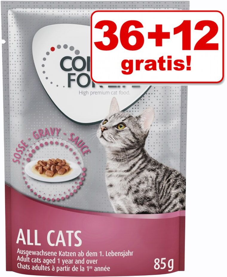 Concept for Life 48x 85g British Shorthair Adult (Ragout-Qualität) Concept for Life Nassfutter für Katzen - 36 + 12 gratis!