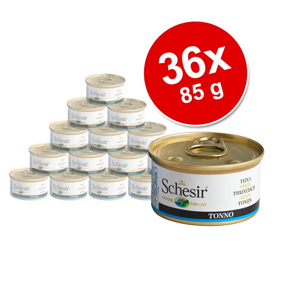 Schesir 36x 85g in Gelee Mixpaket I Schesir Nassfutter für Katzen