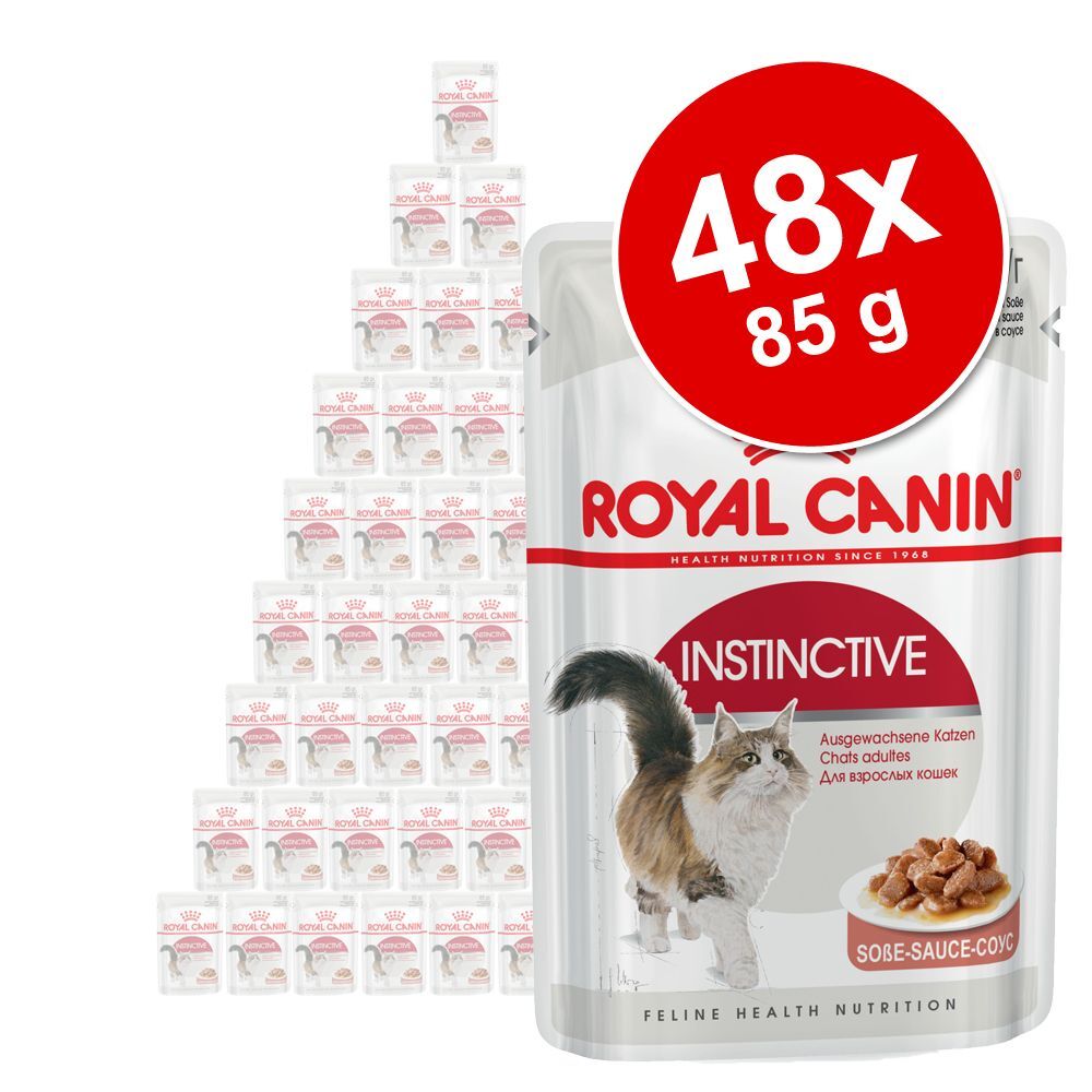 Royal Canin Breed 48x 85g Breed Maine Coon Royal Canin Breed Nassfutter für Katzen