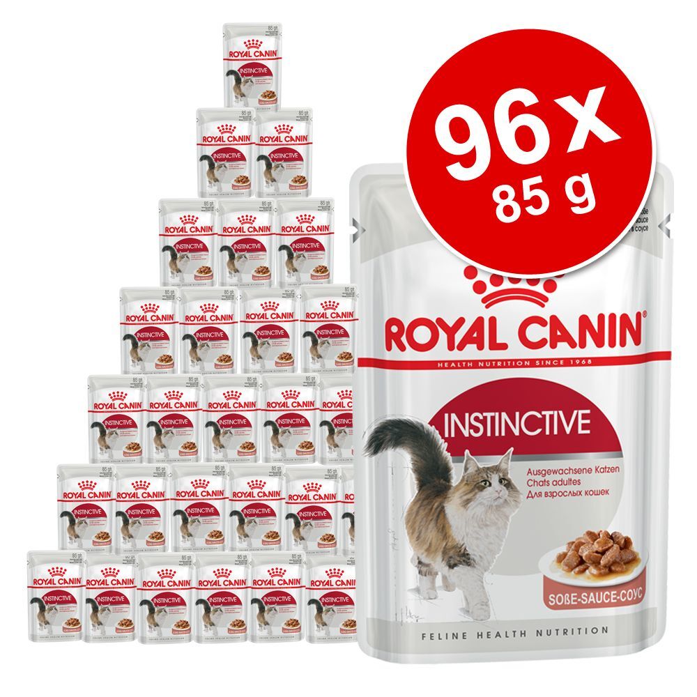Royal Canin Breed 96x 85g Breed British Shorthair Royal Canin Nassfutter für Katzen