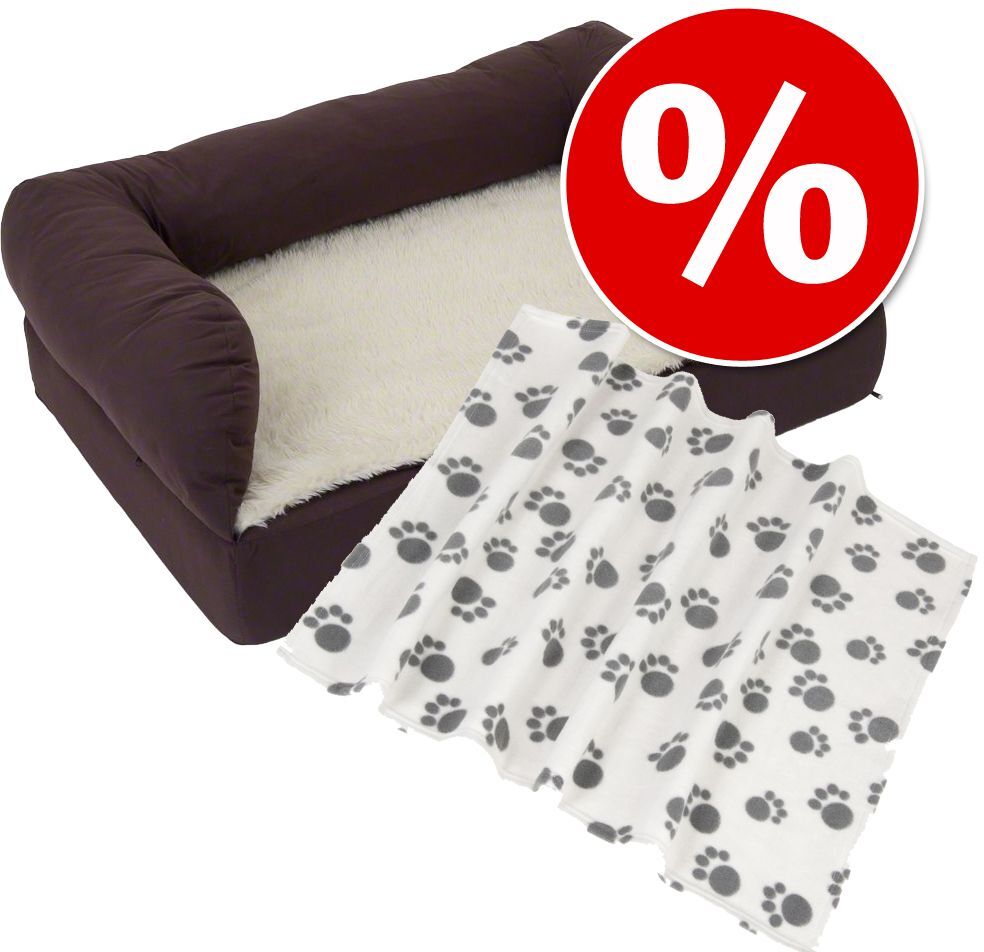 zooplus Exclusive Sparpaket: Das Orthopädische Hundebett eckig + Kuscheldecke Paws Grösse S