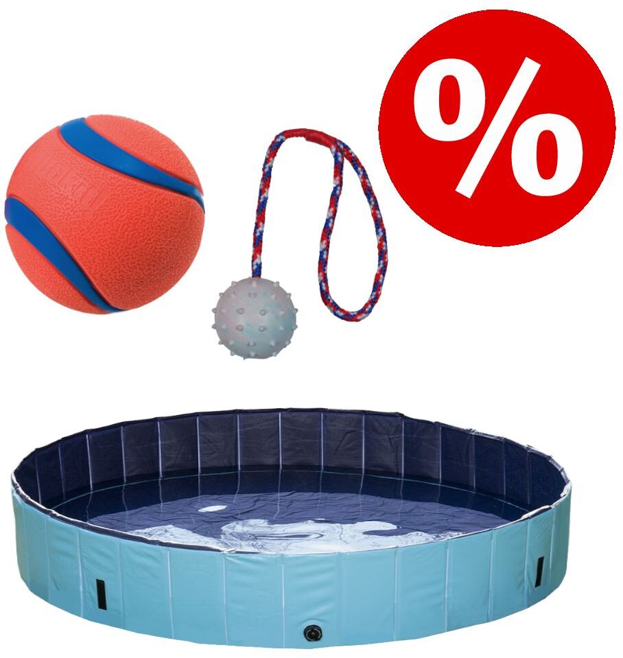 zooplus Exclusive Set: Chuckit! Ultra Ball + Trixie Gummiball mit Schnur + Hundepool Keep Cool Hunde