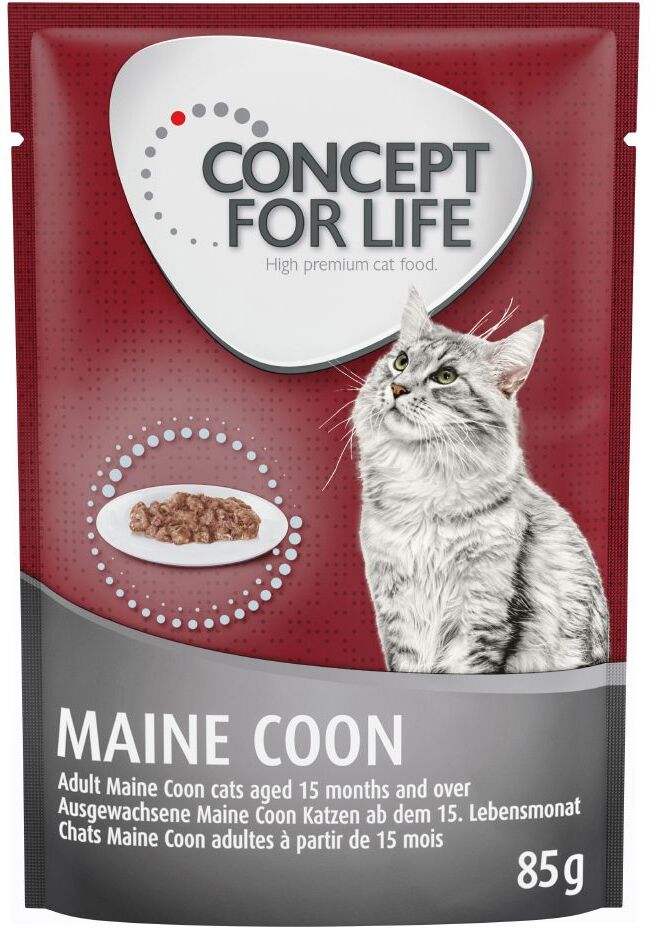 Concept for Life 12x 85g Maine Coon Adult (Ragout-Qualität) Concept for Life Katzenfutter nass