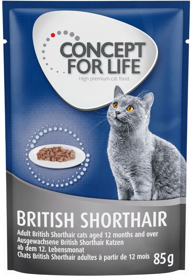 Concept for Life 48x 85g British Shorthair Adult (Ragout-Qualität) Concept for Life Katzenfutter nass