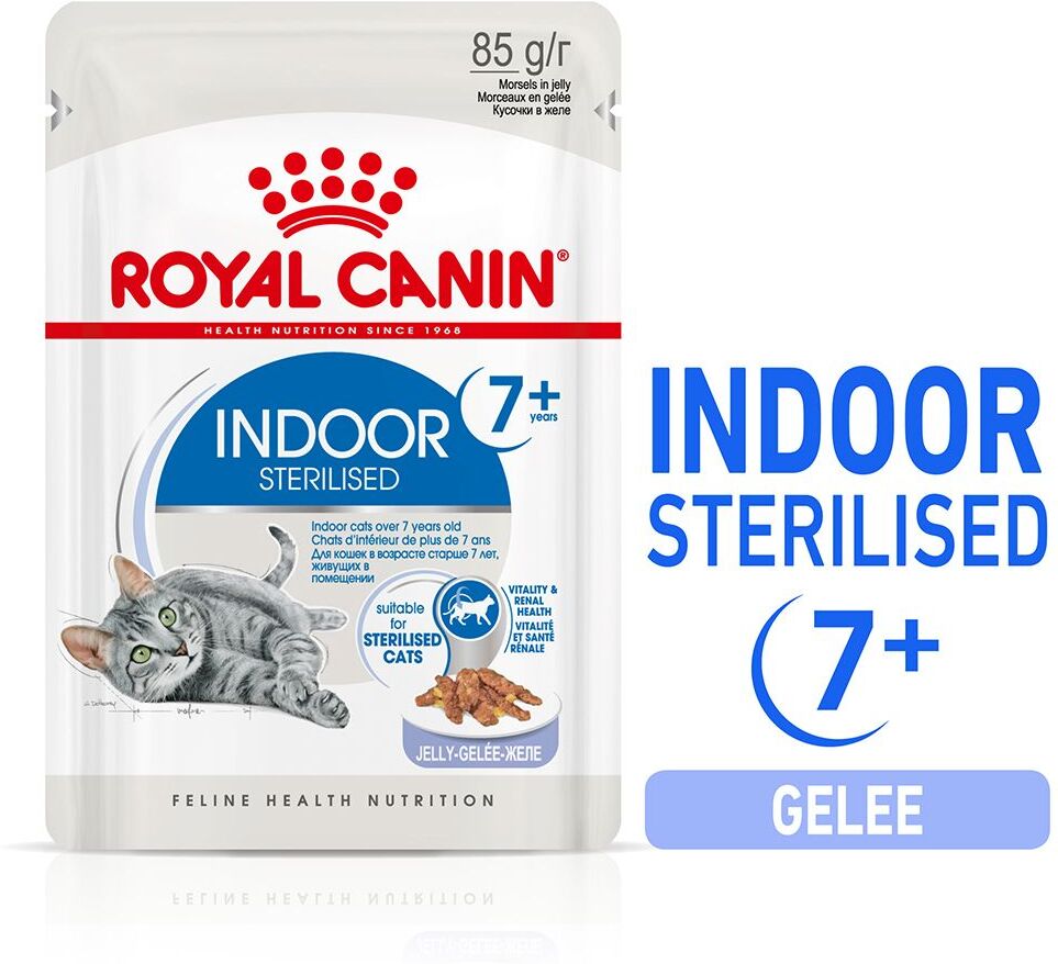 Royal Canin 96x 85g Indoor Sterilised 7+ in Gelee Royal Canin Nassfutter für Katzen