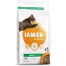 IAMS Cat Adult Ocean Fish granule 2 kg