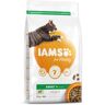 IAMS Cat Adult Lamb granule 2 kg