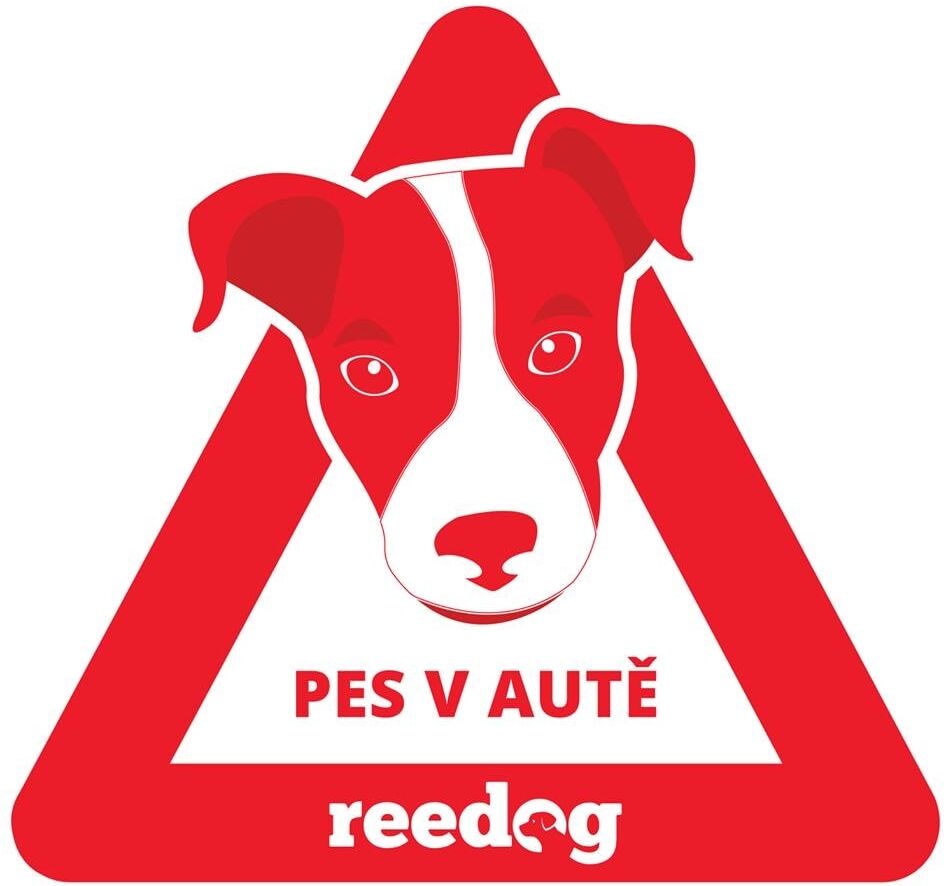 Reedog Samolepka pes v autě