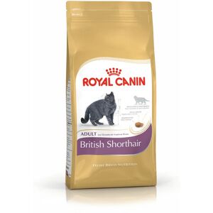 ROYAL CANIN FBN British Shorthair Adult Katzentrockenfutter 4 Kilogramm