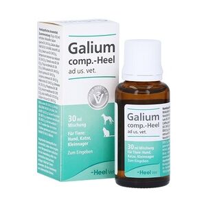 GALIUM COMP.-Heel ad us.vet.Tropfen 30 Milliliter