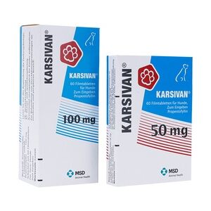 Intervet Deutschland KARSIVAN 50 mg für Hunde 60 Stück