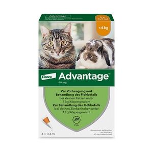 Elanco ADVANTAGE 40 mg Lösung kleine Katzen/Zierkaninchen 4x0.4 Milliliter