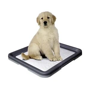 Nobby Doggy Trainer L - 62,5 x 48 x 3,8 cm