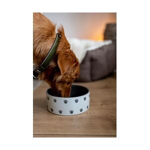Nobby Hunde Keramiknapf PATA creme grau Ø 15 x 6 cm 550 ml
