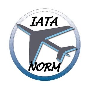 Nobby Transportbox Skudo IATA grau