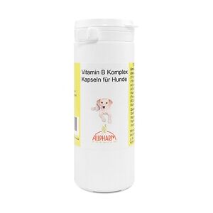 Allpharm VITAMIN B KOMPLEX Kapseln f.Hunde 100 Stück