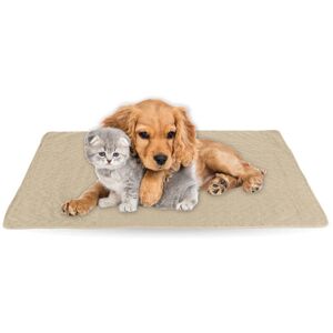 BESTLIVINGS Haustiermatte - 90x140cm ( Creme ) Haustierdecken öko-tex 100 perfekt für Katzen bis große Hunde - s-xl - Steppdecke für Sofa / Bett - Schutz - Creme