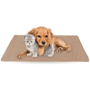 BESTLIVINGS Haustiermatte - 90x140cm ( Anthrazit ) Haustierdecken öko-tex 100 perfekt für Katzen bis große Hunde - s-xl - Steppdecke für Sofa / Bett - Schutz