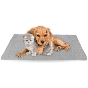 BESTLIVINGS Haustiermatte - 90x140cm ( Grau ) Haustierdecken öko-tex 100 perfekt für Katzen bis große Hunde - s-xl - Steppdecke für Sofa / Bett - Schutz - Grau