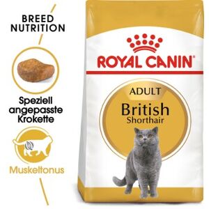 ROYAL CANIN British Shorthair Adult 10 kg