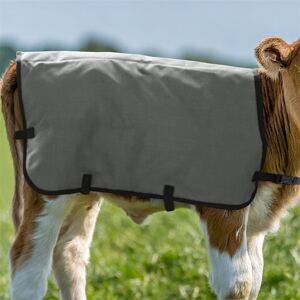 Kälberdecke 80cm, grau – Thermodecke für junge Kälber als Kälteschutz