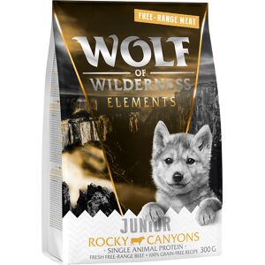 Probierpaket Wolf of Wilderness Trockenfutter - Junior Rocky Canyons - Freiland-Rind (Single Protein) 300 g