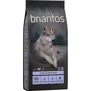 Briantos Adult Ente & Kartoffel - getreidefrei - 12 kg