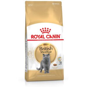 ROYAL CANIN British Shorthair Katzenfutter trocken für Britisch Kurzhaar 2 Kg