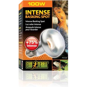 Exo Terra Intense Basking Spot 4+1 gratis 100 Watt