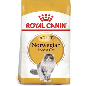 ROYAL CANIN Norwegian Forest Cat Adult Trockenfutter für Norwegische Waldkatzen 2x10kg