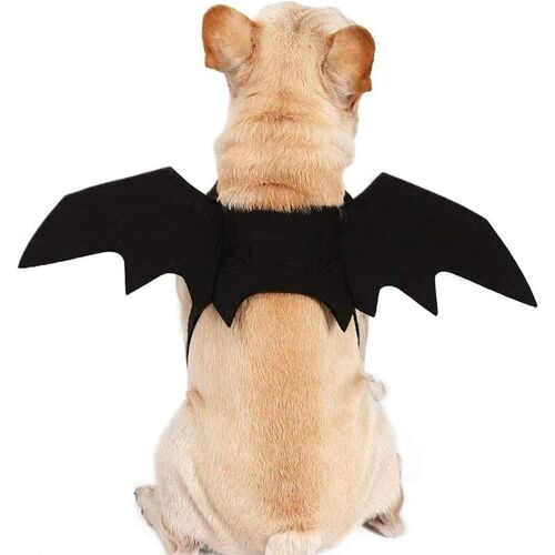 OYLDA Halloween Pet Strap Fledermausflügel Hundeparty Cosplay Kostümzubehör (l)
