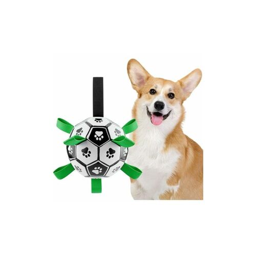 ETING Hundespielzeug, Hundespielzeug Interaktiver Fußball-Fußball, Interaktiver Hundespielzeug-Ball mit Griff, Hundespielzeug-Haustier-Übungsspiel