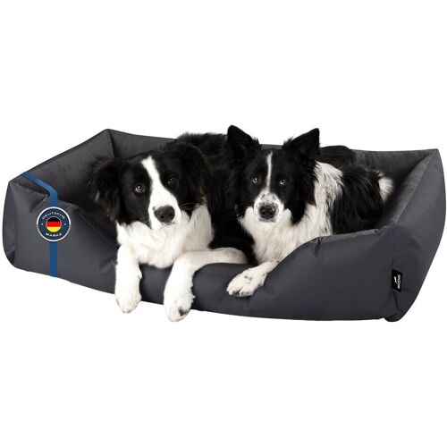 BedDog Hundebett ZARA Hundekissen mit waschbaren Bezug Hundekorb Hundesofa