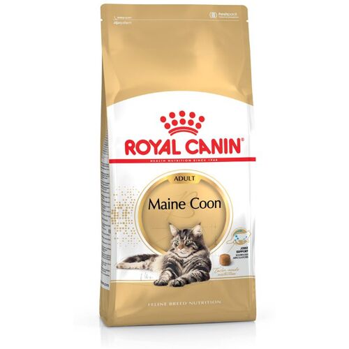 ROYAL CANIN Maine Coon Adult Katzenfutter trocken 4 Kg