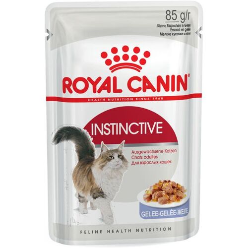 ROYAL CANIN INSTINCTIVE Katzenfutter nass in Gelee 12x85 g