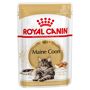 royal canin maine coon adult 10 kg