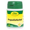 cdVet Propolis Herbal Pulver vet. 20 g
