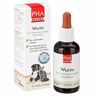 PetVet PHA Wurm Tropfen f.Hunde/Katzen 50 ml