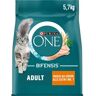 Purina ONE Bifensis Adult Huhn & Vollkorngetreide 5,7 kg