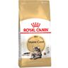 Royal Canin Breed Royal Canin Maine Coon Adult - 4 kg