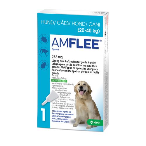 Amflee® 268 mg für große Hunde 3 St Lösung